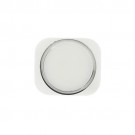 iPhone 5S Home Button Silver/Gold 