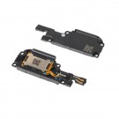 Motorola Moto G15 Loud Speaker (Original)
